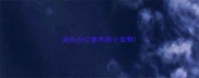 适合办公室养的小宠物