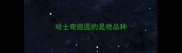 哈士奇脸圆的是啥品种