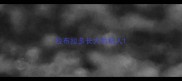 拉布拉多长大后粘人