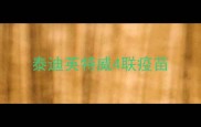泰迪英特威4联疫苗