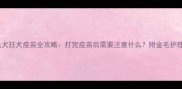 金毛犬狂犬疫苗全攻略打完疫苗后需要注意什么附金毛护理指南