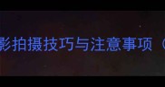 宠物合拍高清创意合影拍摄技巧与注意事项附100张精选模板