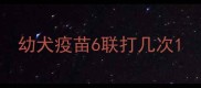 幼犬疫苗6联打几次