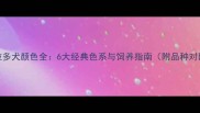 拉布拉多犬颜色全6大经典色系与饲养指南附品种对比图