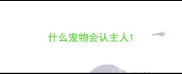 什么宠物会认主人
