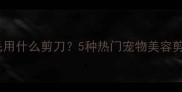 专业指南狗狗剪毛用什么剪刀5种热门宠物美容剪推荐及使用技巧