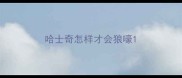 哈士奇怎样才会狼嚎