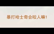 暴打哈士奇会咬人嘛