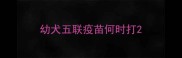 幼犬五联疫苗何时打