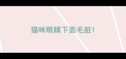 猫咪眼睛下面毛脏