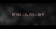 猫咪晚上总是吵人睡觉