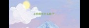 小狗狗长什么样子