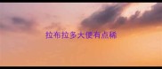 拉布拉多大便有点稀