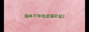 猫咪不停地进猫砂盆