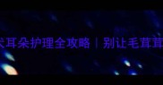 哈士奇幼犬耳朵护理全攻略别让毛茸茸变毛躁