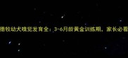 德牧幼犬嗅觉发育全3-6月龄黄金训练期家长必看