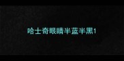 哈士奇眼睛半蓝半黑