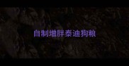 自制增胖泰迪狗粮