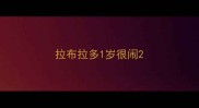 拉布拉多1岁很闹