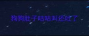 狗狗肚子咕咕叫还吐了