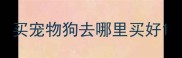 买宠物狗去哪里买好