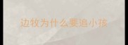 边牧为什么要追小孩