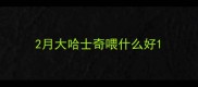 2月大哈士奇喂什么好
