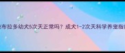 拉布拉多幼犬5次天正常吗成犬1-2次天科学养宠指南