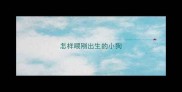 怎样喂刚出生的小狗