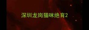 深圳龙岗猫咪绝育
