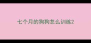 七个月的狗狗怎么训练