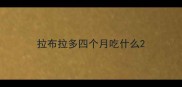 拉布拉多四个月吃什么