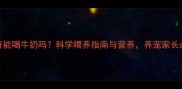 哈士奇能喝牛奶吗科学喂养指南与营养养宠家长必看