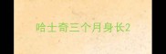 哈士奇三个月身长