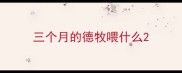 三个月的德牧喂什么
