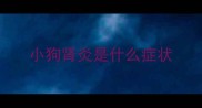 小狗肾炎是什么症状