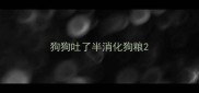狗狗吐了半消化狗粮