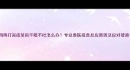 狗狗打完疫苗后干呕不吐怎么办专业兽医疫苗反应原因及应对措施
