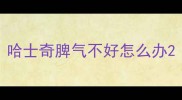 哈士奇脾气不好怎么办