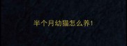 半个月幼猫怎么养
