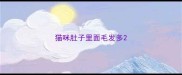 猫咪肚子里面毛发多