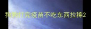 狗狗打完疫苗不吃东西拉稀