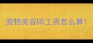 宠物美容师工资怎么算