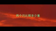两个月比熊多少重