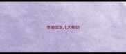 泰迪宝宝几天断奶
