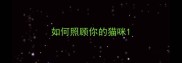 如何照顾你的猫咪