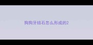 狗狗牙结石怎么形成的