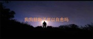 狗狗腿断了可以自愈吗