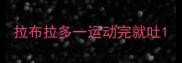 拉布拉多一运动完就吐