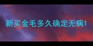 新买金毛多久确定无病